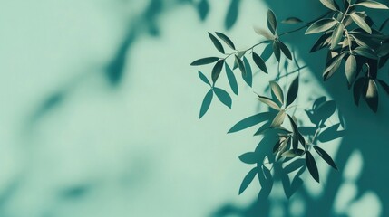 Poster - green wall with shadows of leaves creating an abstract pattern and copy space for text placement