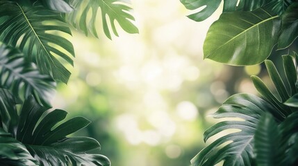 Poster - tropical green leaves frame soft blurred background with copy space for text or design elements