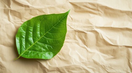 Poster - Green leaf on crumpled brown paper background with natural texture and ample Copy Space for text placement