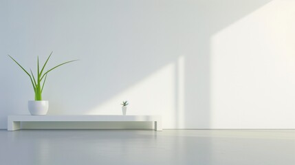 Fototapete - A white wall with a plant in a white vase on a shelf. The plant is a small green plant with a long stem. The white wall and the plant create a simple and clean look. AI generated.
