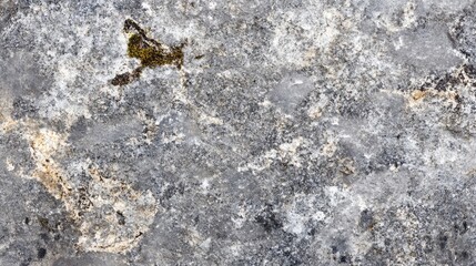 Poster - textured gray stone surface with organic patterns and subtle color variations ideal for background o