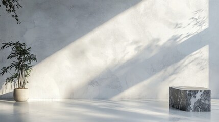 Poster - Minimalist interior space with plant and stone pedestal against textured wall featuring light and shadow play Copy Space