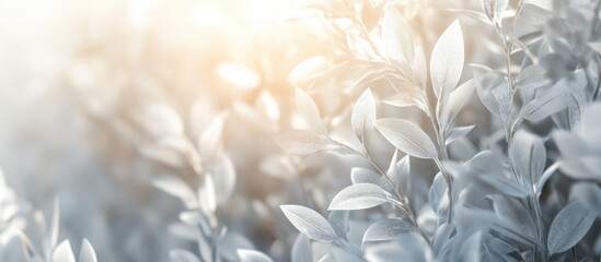 Poster - Close-up of soft green leaves with natural light and bokeh effect on a blurred background Copy Space