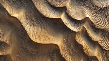 Poster - desert sand dunes with textured patterns and shadows creating abstract natural art copy space