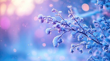 Poster - Frosted branch with snow and blurred bokeh lights in winter landscape Copy Space