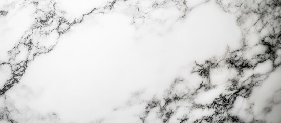 Poster - White marble texture with black veining patterns ideal for backgrounds and design projects Copy Space