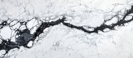 Poster - Marble texture with white and black veins and irregular patterns in a glossy finish suitable for backgrounds and surfaces Copy Space