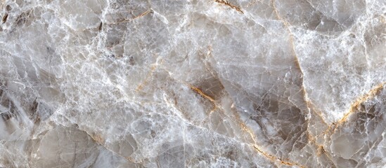Poster - Gray and Gold Marble Texture Background with Copy Space