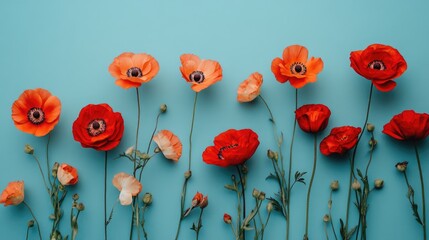 Poster - Colorful poppy flowers arranged on a blue background with vibrant hues and Copy Space for text placement.