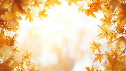 Poster - Golden autumn leaves frame on a bright background with copy space for text or graphics. Soft focus on foliage.