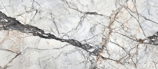 Poster - Marble texture background with veining and intricate patterns suitable for use as a wallpaper or design element Copy Space