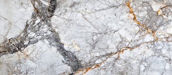 Poster - Textured marble background with gray and white patterns and gold veining suitable for various design applications Copy Space