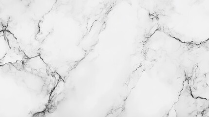 Canvas Print - White Marble Texture with Black Veins Pattern Ideal for Background Use Copy Space