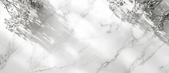 Fototapete - Abstract marble texture background with subtle shadows and foliage details ideal for modern design projects Copy Space