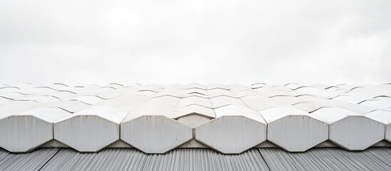 Poster - Abstract view of textured hexagonal roof tiles in a monotone color palette with cloudy sky overhead and copy space for text placement.