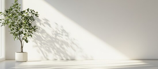 Aufkleber - Minimalist interior with natural light and shadow cast on a clean white wall perfect for abstract art and text placement.