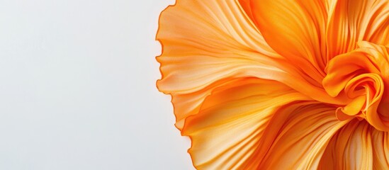 Aufkleber - Vibrant orange flower petals on a soft light background with clear space for text and creative designs
