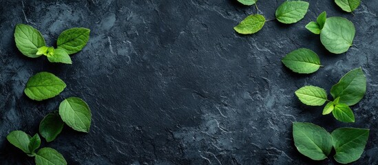 Poster - Minimalist Flat Lay of Botanical Leaves on Blackboard Textured Background with Ample Copy Space for Creative Use