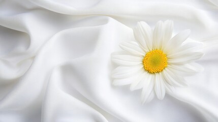 Poster - White silk fabric background with a single daisy flower placed on it and ample copy space for text.