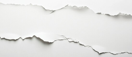 Aufkleber - Ripped White Paper Texture Background with Empty Copyspace for Text and Design Elements