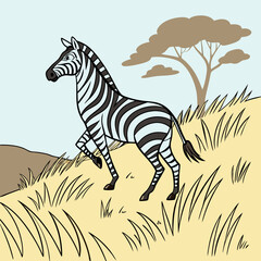 Poster - zebra in the grass