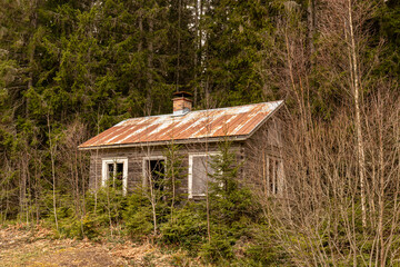 Wall Mural - The cottage in Swidish countryside