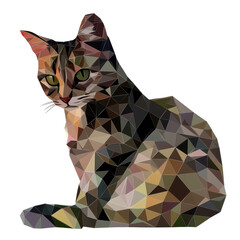 Poster - Colorful polygonal cat design on a clean transparent background showcasing geometric artistry and feline beauty, Polygonal cat on transparent background. Geometric polygonal cat transparent background