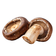 Wall Mural - Fresh shiitake mushrooms isolated on a transparent background showcasing their unique shape and texture in detail, Shiitake mushroom isolated on transparent