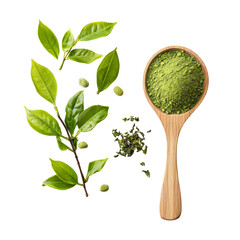 Wall Mural - Instant matcha green tea powder in a wooden spoon accompanied by fresh tea leaves on a clean background, Instant matcha green tea in wood spoon and tea leaves on transparent background