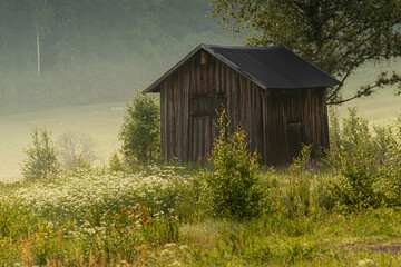 Wall Mural - The cottage in Swidish countryside