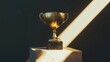 © Alexandr - A trophy symbolizing achievement and success, shining brightly against a dark background. This elegant award embodies hard work and dedication, inspiring motivation and celebration