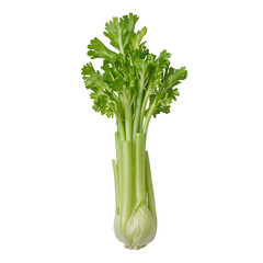 Wall Mural - Fresh celery stalk with green leaves on white backdrop vibrant and appealing