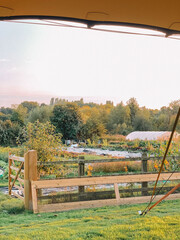 a serene herb garden nestled in the english countryside, showcasing an array of aromatic plants and 