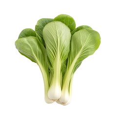 Wall Mural - Fresh bok choy arranged on a clean transparent background showcasing its vibrant green leaves, Bok choy vegetable on transparent transparent background