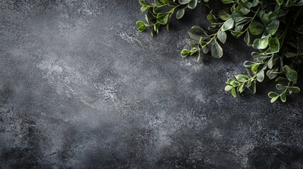 Poster - Green leaves bordering empty black textured background with copy space