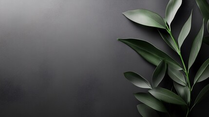 Aufkleber - Green leaves creating a natural frame on dark background