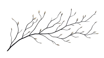 Dry tree branch on transparent background 
