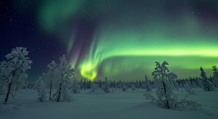 a serene tundra landscape with frost-covered trees shimmering under the aurora borealis