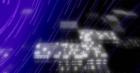  - Binary code and data processing image over digital grid with purple lines