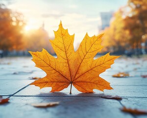 Aufkleber - Single autumn maple leaf on city pavement.