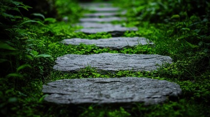 Canvas Print - Tranquil stone pathway through lush greenery