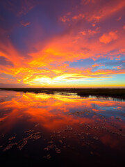 Wall Mural - Vibrant hues of sunset reflected in the wetlands of Laguna Formosa, liquid mirror, brilliant colors, wetlands