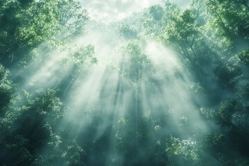 Poster - Sunlight streams through a dense forest, creating an ethereal atmosphere as mist rises among the vibrant green foliage, showcasing nature's beauty.