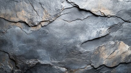 Wall Mural - Gray and Brown Stone Texture Background Image