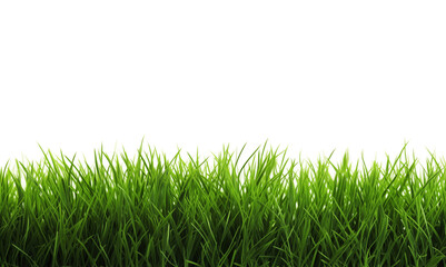 Wall Mural - lawn on white. green grass. a fresh spring green grass on white.