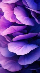 Poster - Serene overlapping lavender petals soft purple tones floral background calm environment close-up view aromatic concept