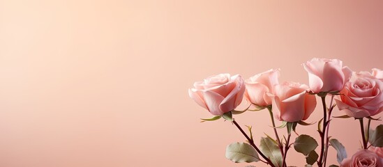 Poster - Delicate pink roses arranged on the left against a soft pastel pink background with ample copy space on the right capturing spring essence
