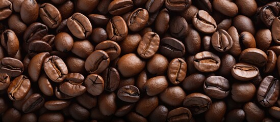 Poster - Rich dark coffee beans scattered across a white background with ample copy space for text placement creating a clean and inviting composition