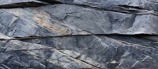 Poster - Realistic dark gray natural stone texture with layered patterns and subtle highlights, showcasing intricate details and earthy tones for backgrounds.