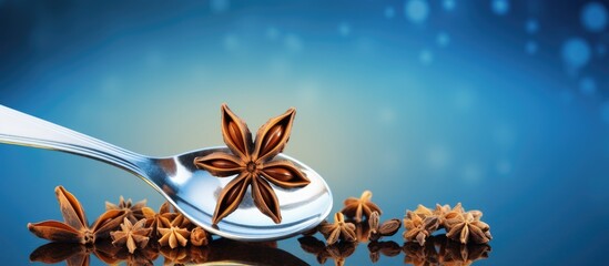 Poster - Spoon holding star anise with spices on a blue bokeh background creating negative space for text layout and vibrant visual appeal